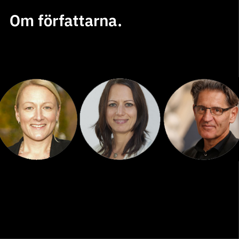 Lär känna IDS-2